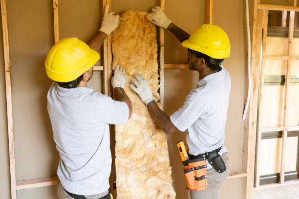 Insulation Contractors for Homes in Castalia, OH