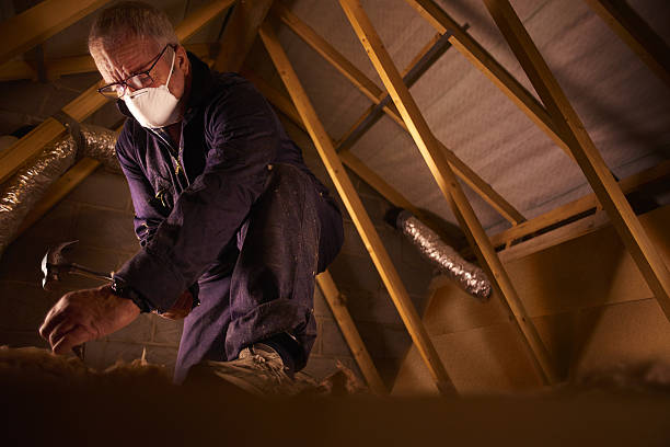 Professional Insulation Contractor in Castalia, OH